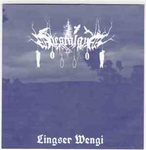 Noestalgya - Lingser Wengi