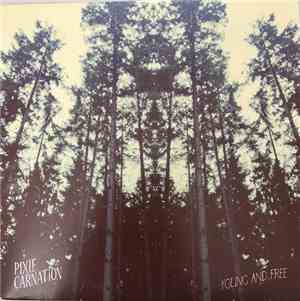 Pixie Carnation - Young And Free