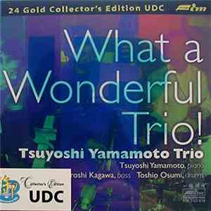 Tsuyoshi Yamamoto Trio - What A Wonderful Trio!