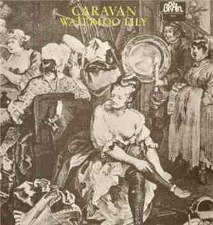 Caravan - Waterloo Lily
