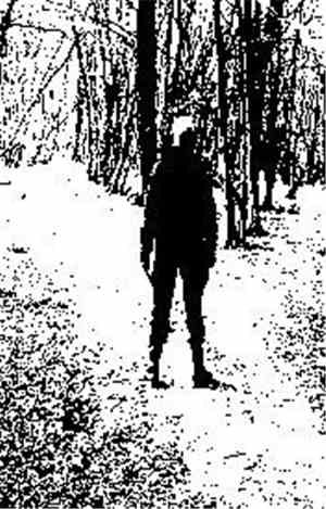 Forest Grave - The Light Through The Trees
