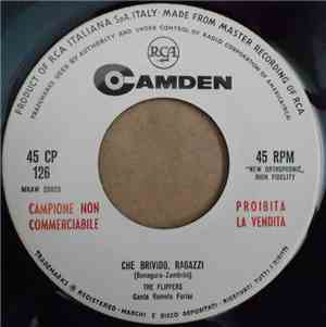 The Flippers  - Che Brivido, Ragazzi