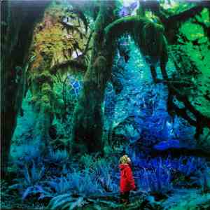 Jacco Gardner - Cabinet Of Curiosities