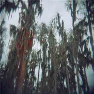 The Lulls in Traffic - Rabbit In The Snare