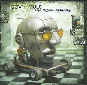 Gov't Mule - Life Before Insanity