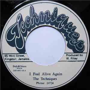 The Techniques - I Feel Alive Again