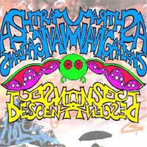Ashtray Navigations - Insect Descent