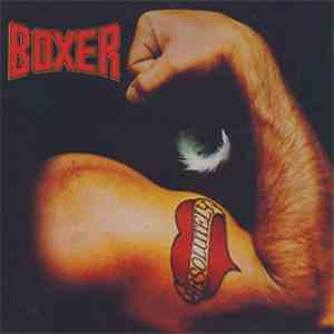 Boxer  - Absolutely