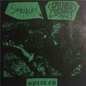 Gorgonized Dorks / Speculum  - Split EP