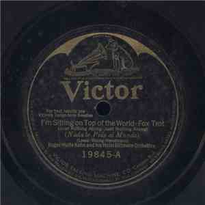 Roger Wolfe Kahn And His Hotel Biltmore Orchestra - I'm Sitting on Top of the World / I Never Knew
