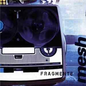 Mesh  - Fragmente