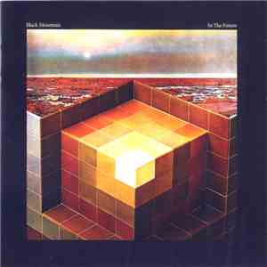 Black Mountain - In The Future