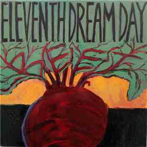 Eleventh Dream Day - Beet
