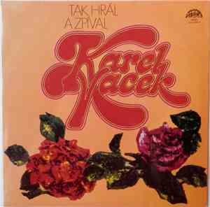 Karel Vacek - Tak Hrál A Zpíval Karel Vacek