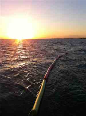 Tony Myatt - Placencia Bay