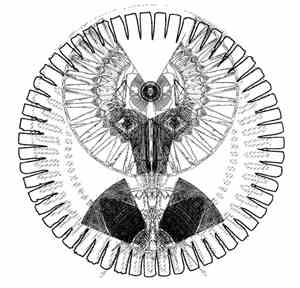 Don´t Disturb My Circles - Lugubrious Cacophonous