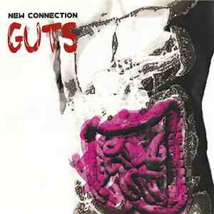New Connection  - Guts