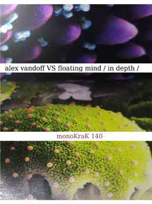 Alex Vandoff VS Floating Mind - In Depth
