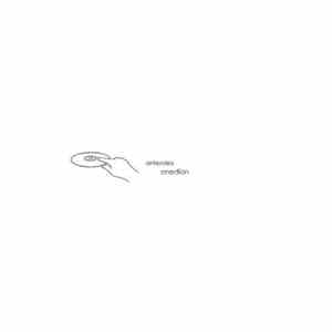 Antendex - Onedion