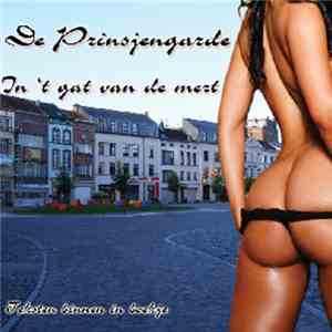 De Prinsjengarde - In 't Gat Van De Mert
