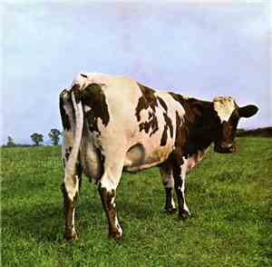 The Pink Floyd - Atom Heart Mother
