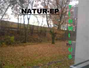 Tinnitus  - Natur-Ep
