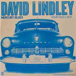 David Lindley - Mercury Blues / Your Old Lady