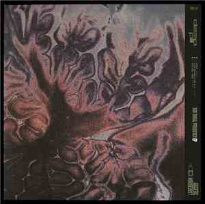 Deep Pill - Sub Dural Frequency