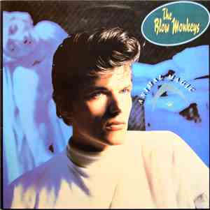 The Blow Monkeys - Animal Magic