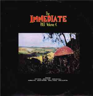 Various - The Immediate Past Vol 4