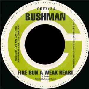 Bushman  / Half Pint  - Fire Bun A Weak Heart / Mr. Landlord