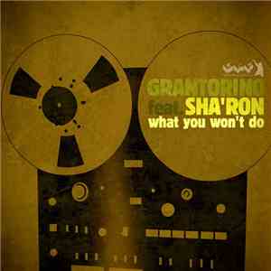 Grantorino Feat. Sha'Ron - What You Won't Do