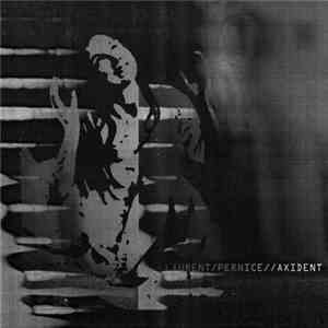 Laurent Pernice - Axident