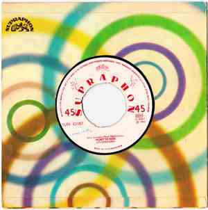 Les Mistigris - Ticket To Ride / Summer Nights