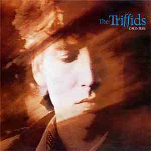 The Triffids - Calenture