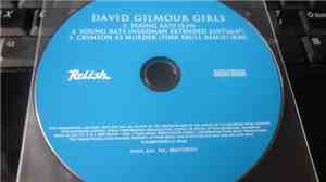 David Gilmour Girls - Young Rats