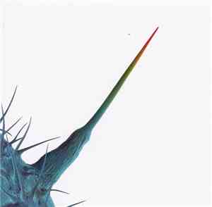 Peter Gabriel - And I'll Scratch Yours
