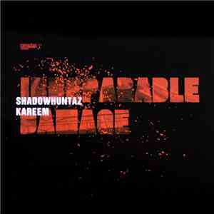 Shadow Huntaz & Kareem - Irreparable Damage