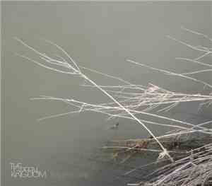 The Green Kingdom - Twig And Twine