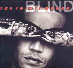 The Icicle Works - Blind