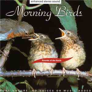 Unknown Artist - Morning Birds Sounds Of Earth
