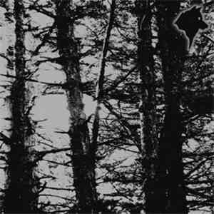 Korium - Neviditelny Tron Lesnej Temnoty