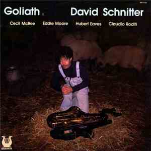 David Schnitter - Goliath