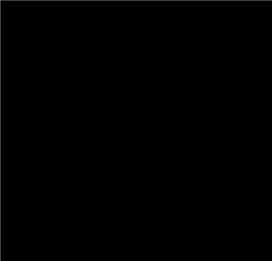 Florian Hidden - Black Death Untitled VII