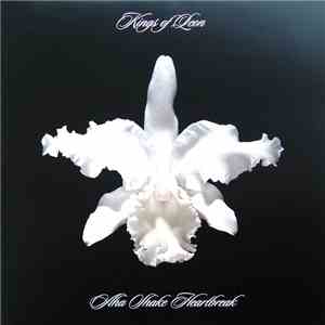 Kings Of Leon - Aha Shake Heartbreak