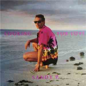 Sandy P. - Looking For Love