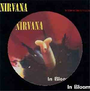 Nirvana - In Bloom