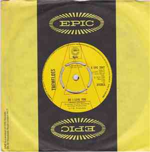 The Tremeloes - Do I Love You / Witchcraft