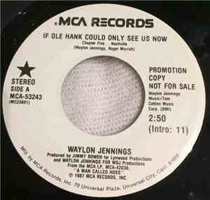 Waylon Jennings - If Ole Hank Could Only See Us Now (Chapter Five ... Nashville)