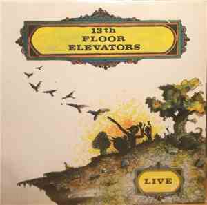13th Floor Elevators - Live